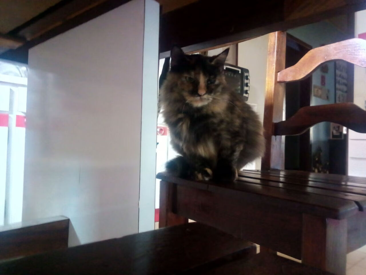 爱游戏中国官方网站平台-光明记忆未来之星线上赛，雄鹰展翅迎战强敌，光明记忆海报