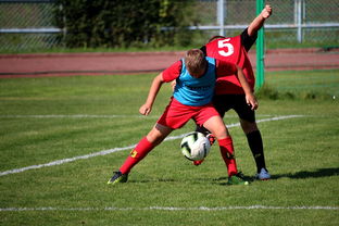 爱游戏中国官方网站平台-中国足球俱乐部与国际学校合作开展足球课程，国内足球培训基地